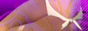 �A�_���g�O�b�c���`�A�i